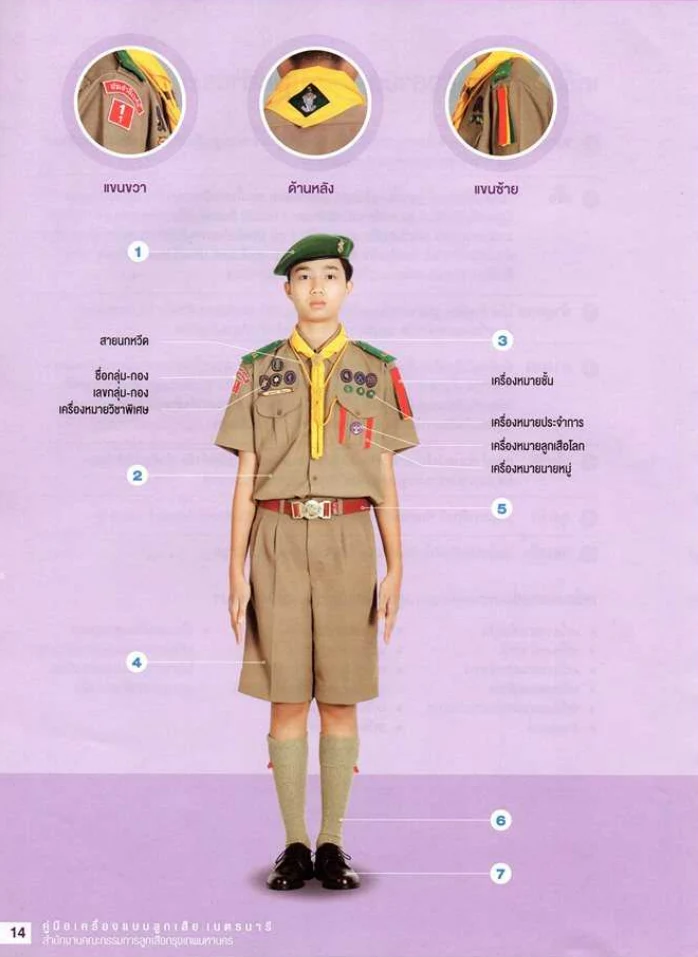 ชุดลูกเสือวิสามัญ ระดับมัธยมศึกษา 4 และ ปวช. 1 ขึ้นไป