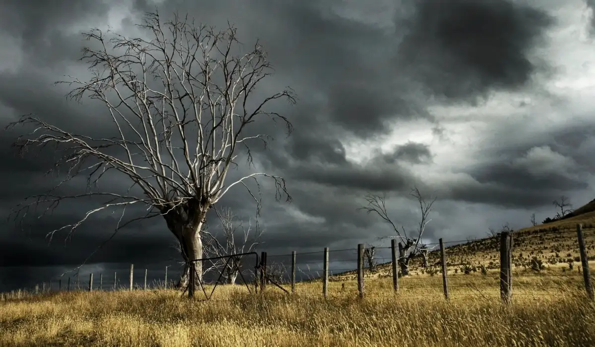 ปรากฏการณ์เอลนีโญ (El Niño) ส่งผลอะไรกับชีวิตประจำวันของเรา